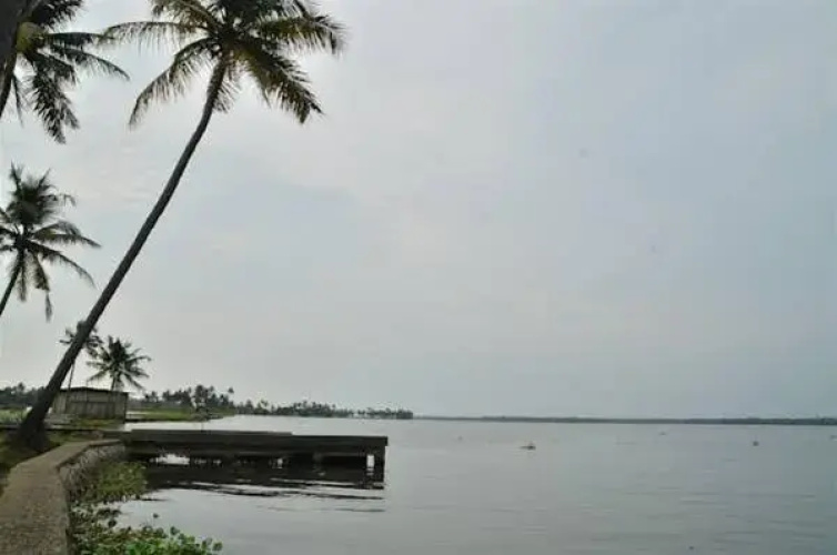 Narikulam Tharavad