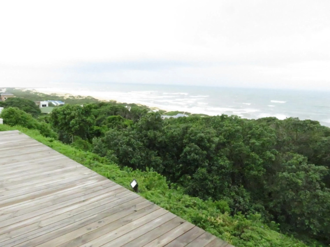 The View