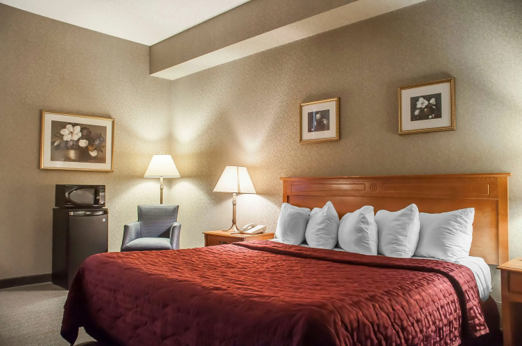 Comfort Inn Lundy's Lane photo 8