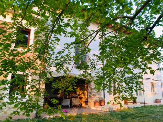 Standard Double room with garden view