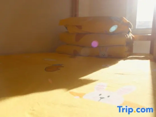 Bed in Dorm (female dorm)