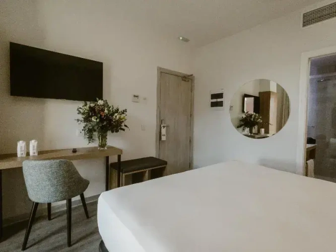 Classic Junior Suite
