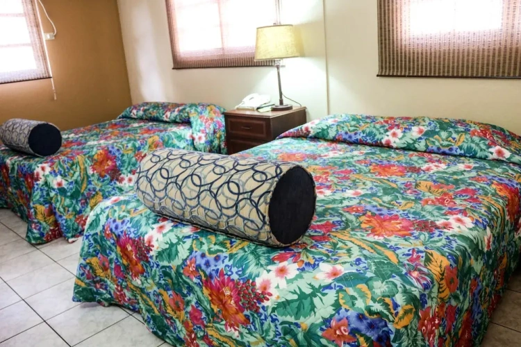1 Bedroom Double Apartment