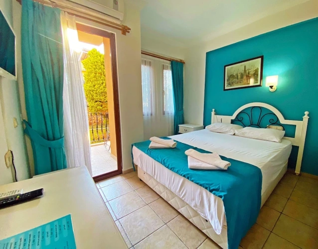 Standard Double room with balcony and with view