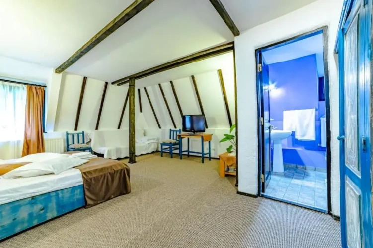 Standard Family room