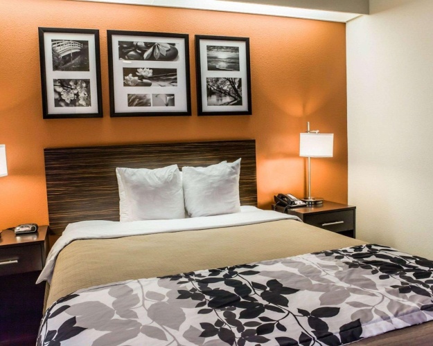 1 Bedroom Standard room