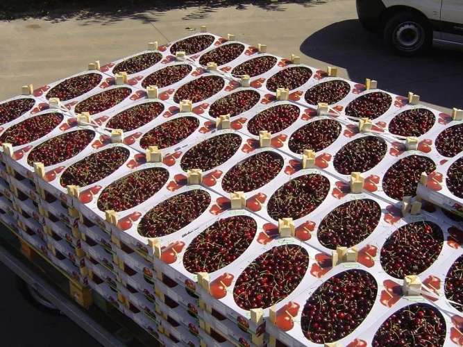 B&B Cherryfarm