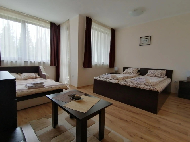 Borovets Gardens Studio D36