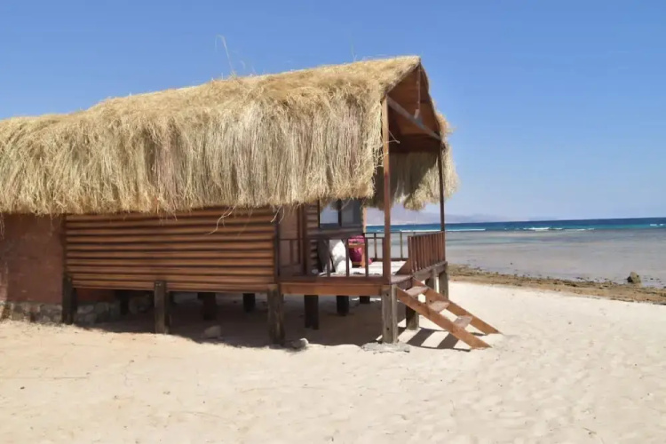 Shanty camp