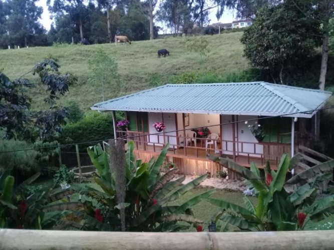 Standard Double room with balcony and with view
