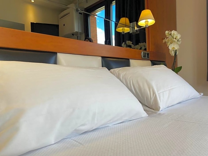 Standard Double room with balcony and with view