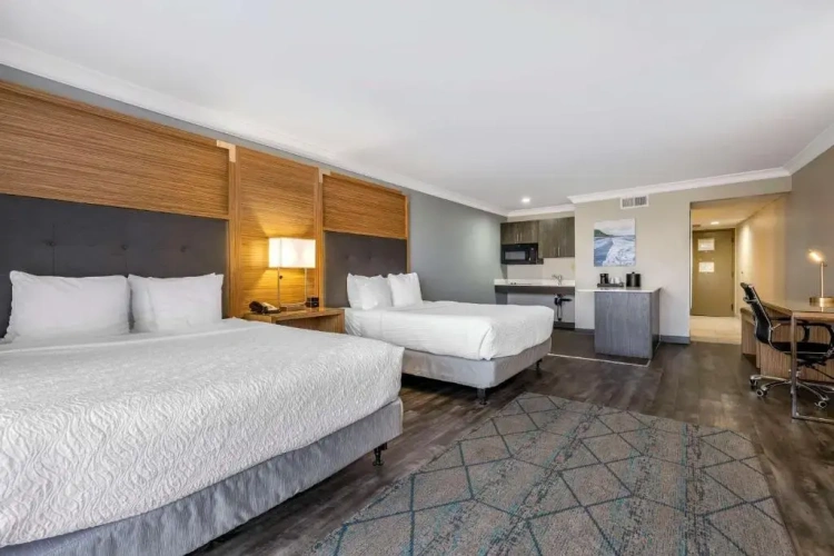 Double Suite