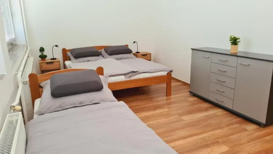1 Bedroom Apartment
