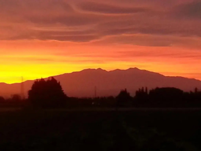 Domaine Mas Bazan