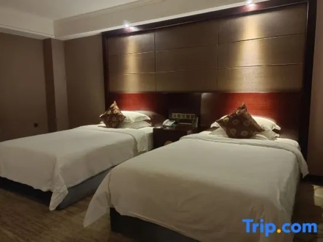 Standard Double room with city view