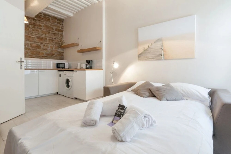 Lovely Studio in Downtown Lyon