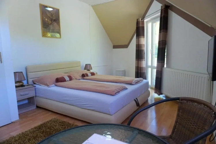 Standard Double room with mountain view