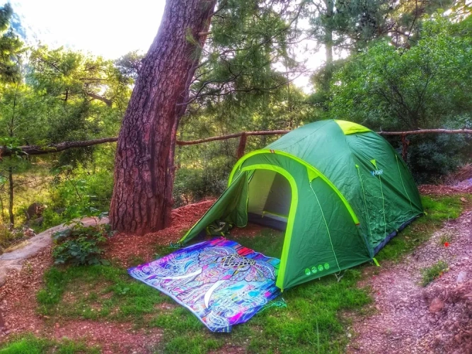 Tent