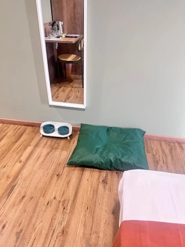 Classic Twin room