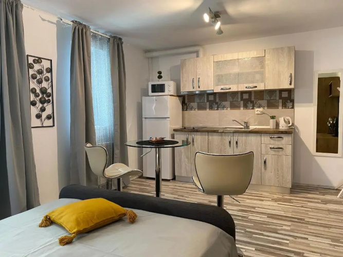 Urseni Studio Apartment