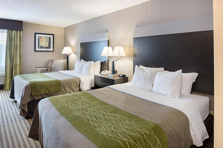 Comfort Inn Camden