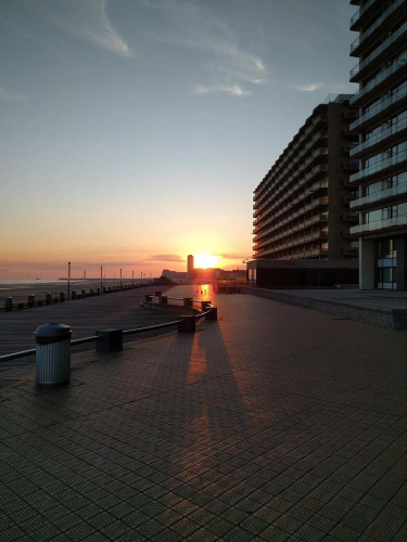 Splendid Seaview