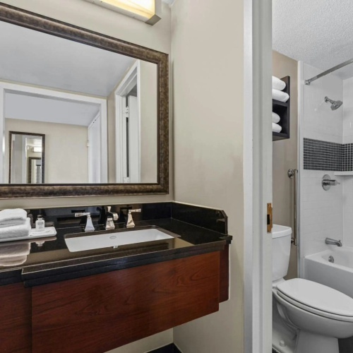 Embassy Suites by Hilton Atlanta Perimeter Center photo 12
