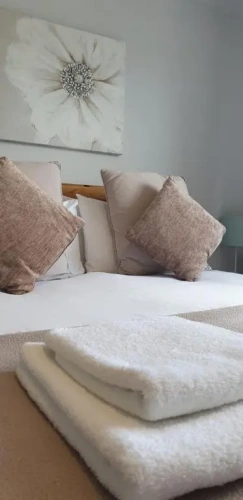 Standard Twin room with view