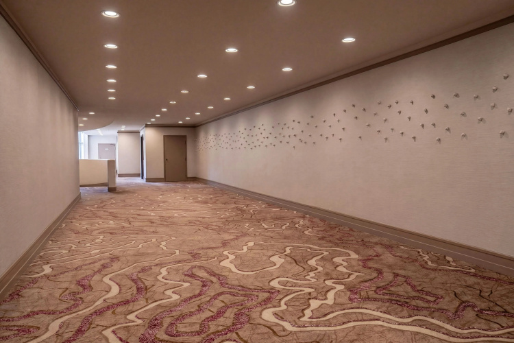 Marriott Walnut Creek photo 14