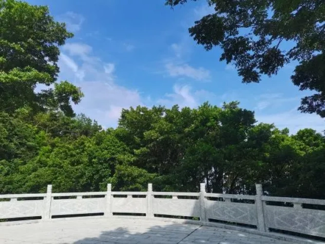 Outside