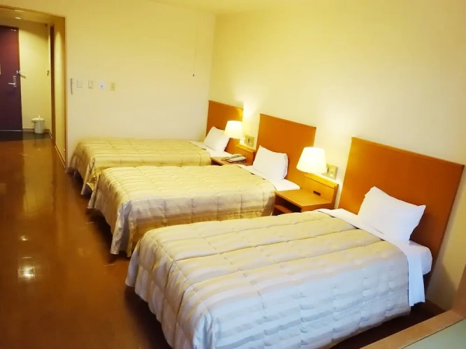 Standard Triple room with bay view