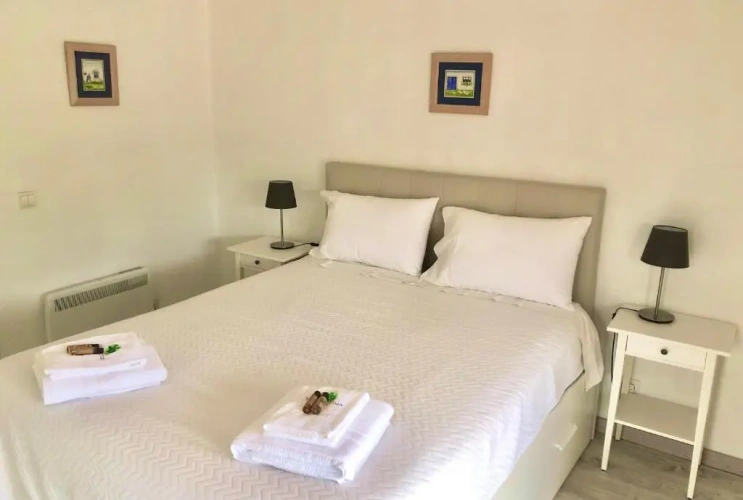 Standard Double room with pool view