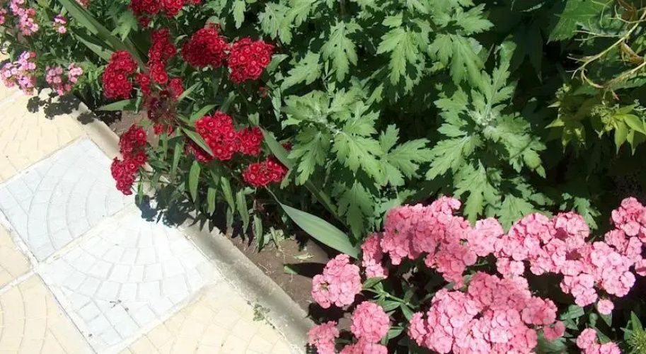 Varna Hotel