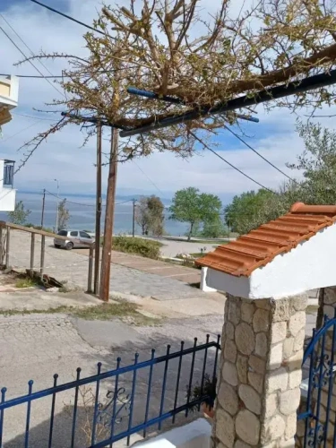 Standard Triple room with sea view