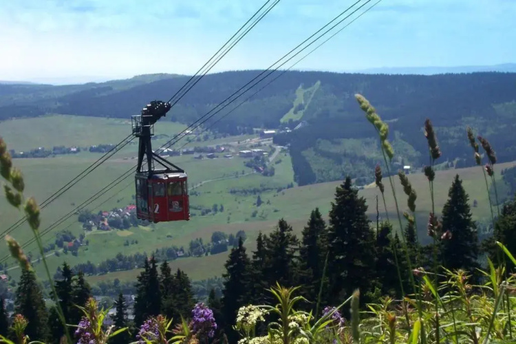 Nichtraucher-Fewo-Ebert-Green