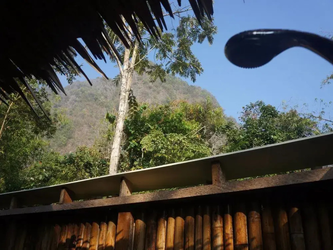 Khao Sok Jungle Resort