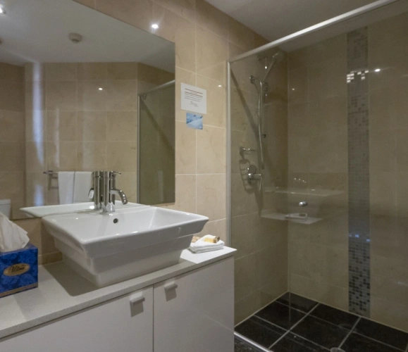 Premium Twin room