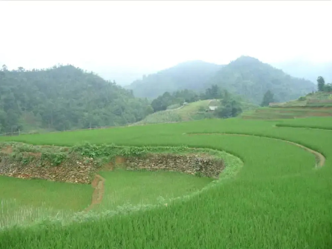 Sapa Cozy Hotel