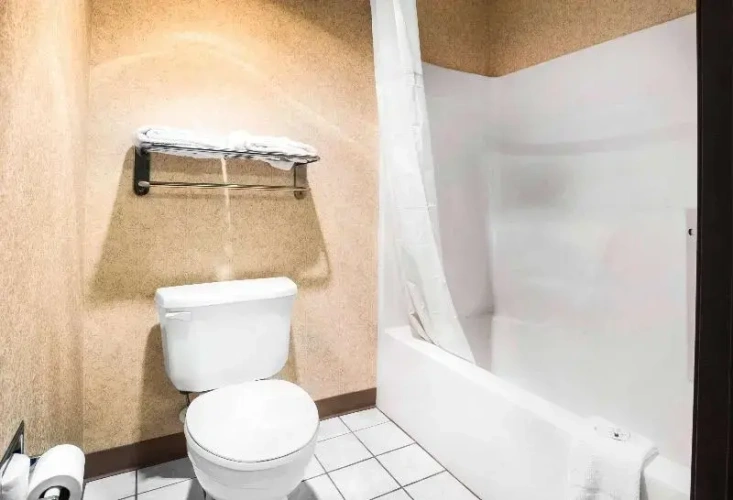Quadruple Suite