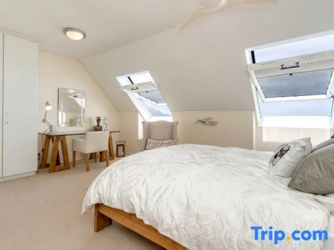Standard Penthouse room