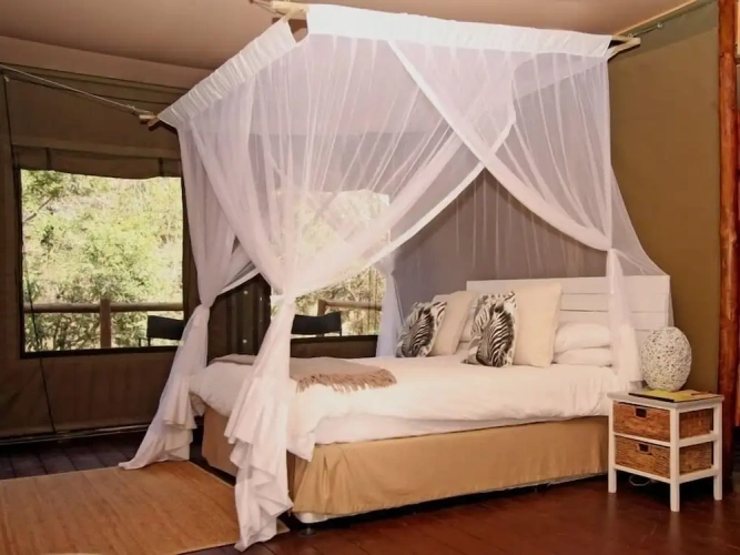 Family Tent
