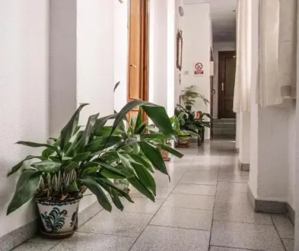 Pension Navarro Ramos