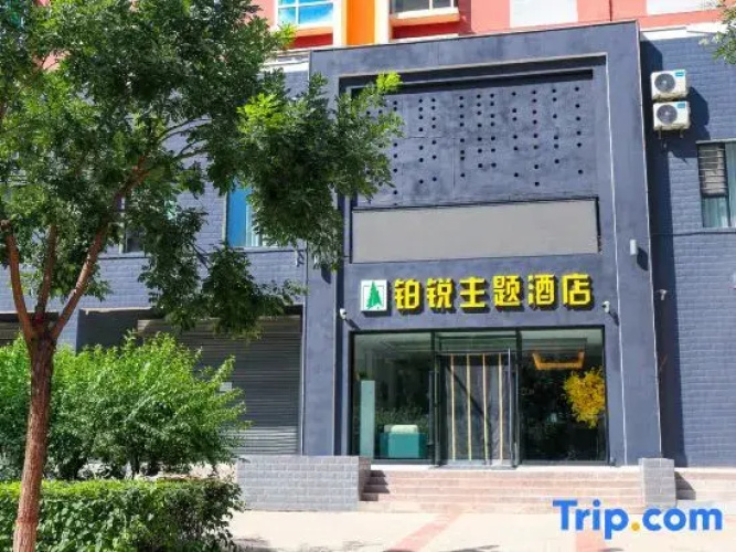Datong Borui Theme Hotel