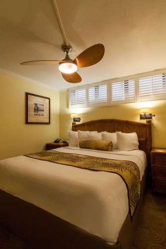 1 Bedroom Standard room