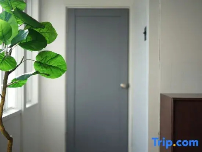 Kuri Apartment