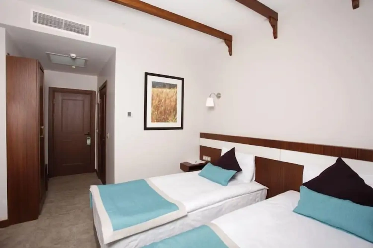 Standard Twin room with view