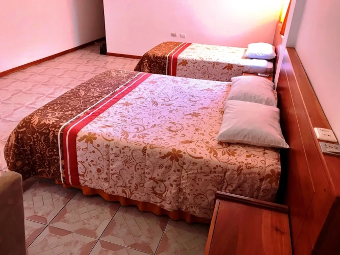 1 Bedroom Standard Triple Basement room