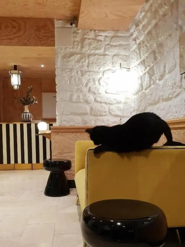 Hotel Denfert Montparnasse