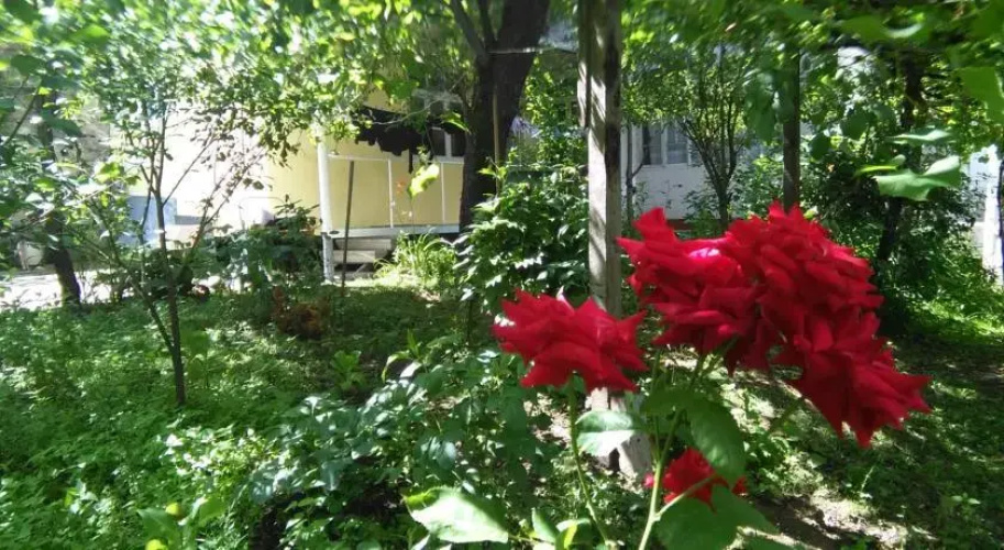 Guest House Marta
