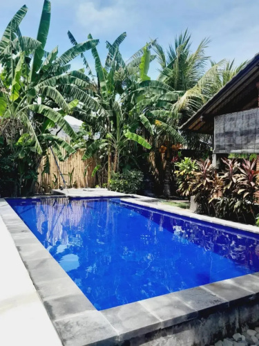 La Paparrucha Bali